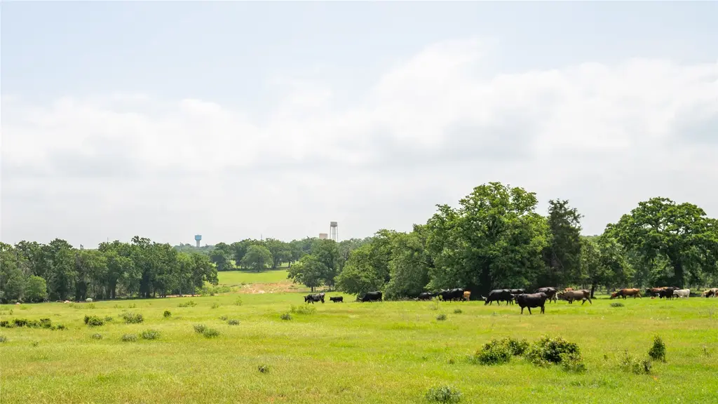624 County Road 306, Rockdale