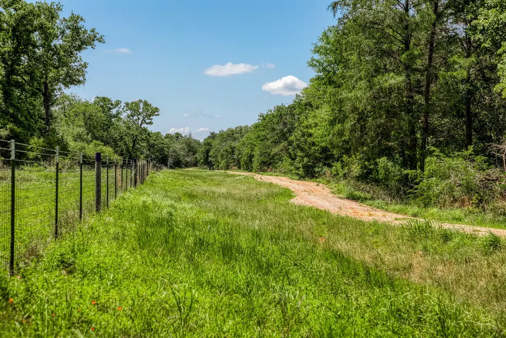 1012 County Road 438, Lexington