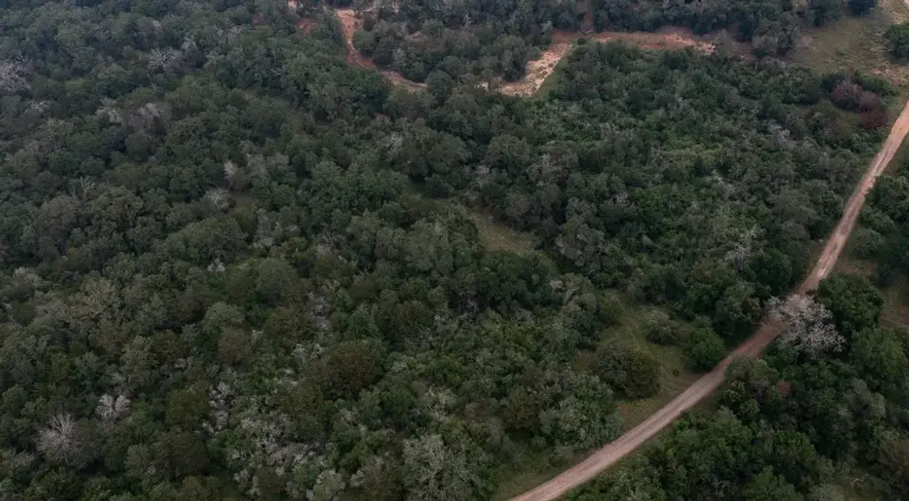 Lot 4 Private Road 4601, Waelder