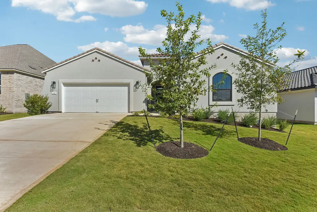 226 Olive Blossom Trl, San Marcos