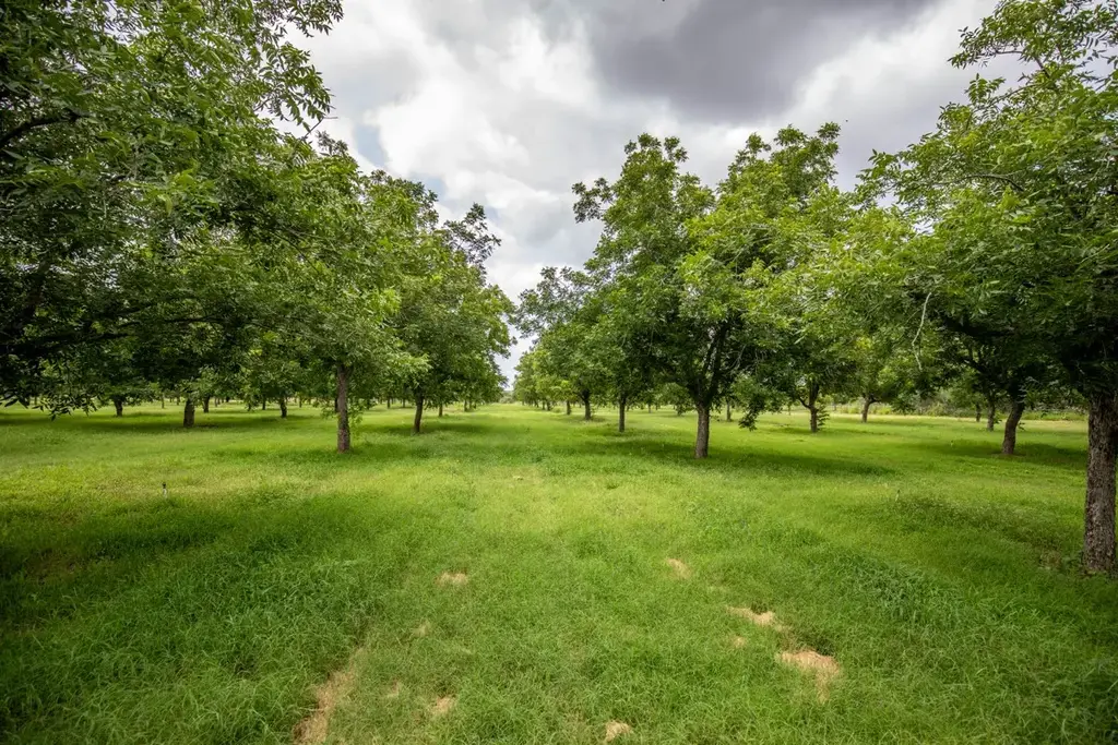 2432 County Road 402, Falfurrias