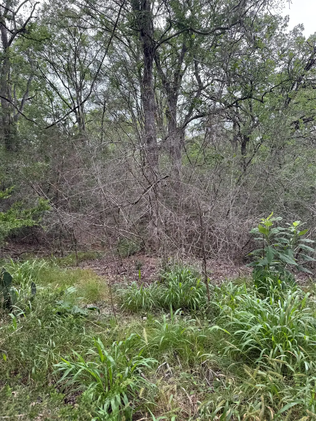 Lot 1035 Kawanui Dr, Bastrop