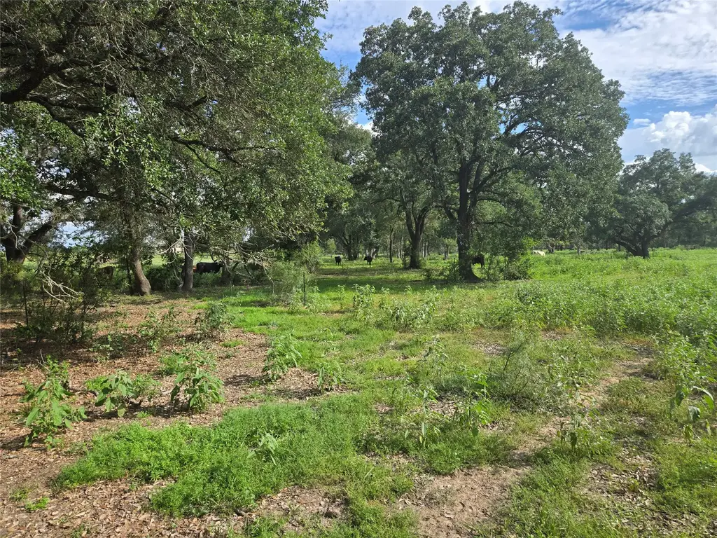 0 Sh 304 Rd, Bastrop