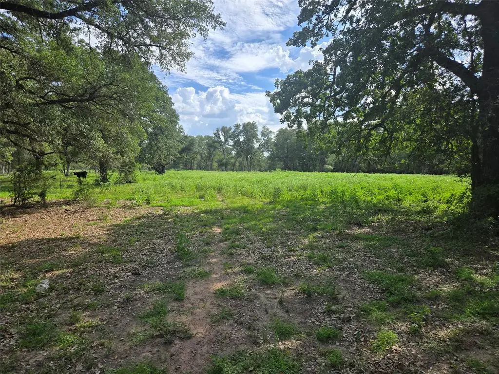 0 Sh 304 Highway, Bastrop