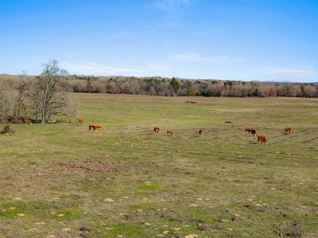 95 Ac +/- County Road 234, Milano