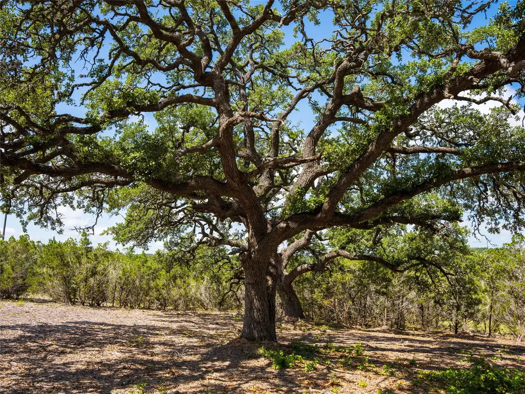 000 Heritage Creek Ranch, Dripping Springs