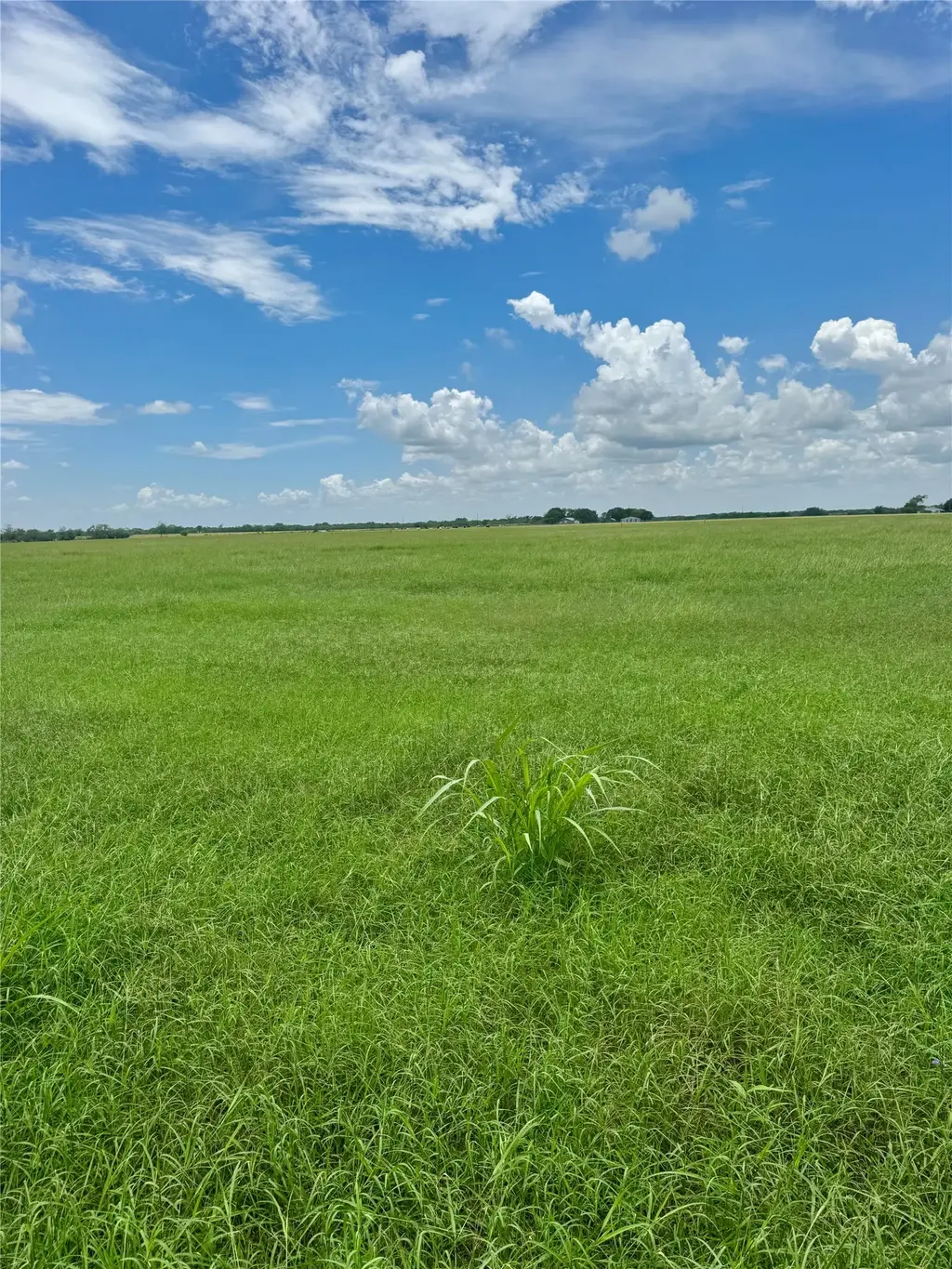 Tbd Lot 1 Hoffman Rd, Seguin
