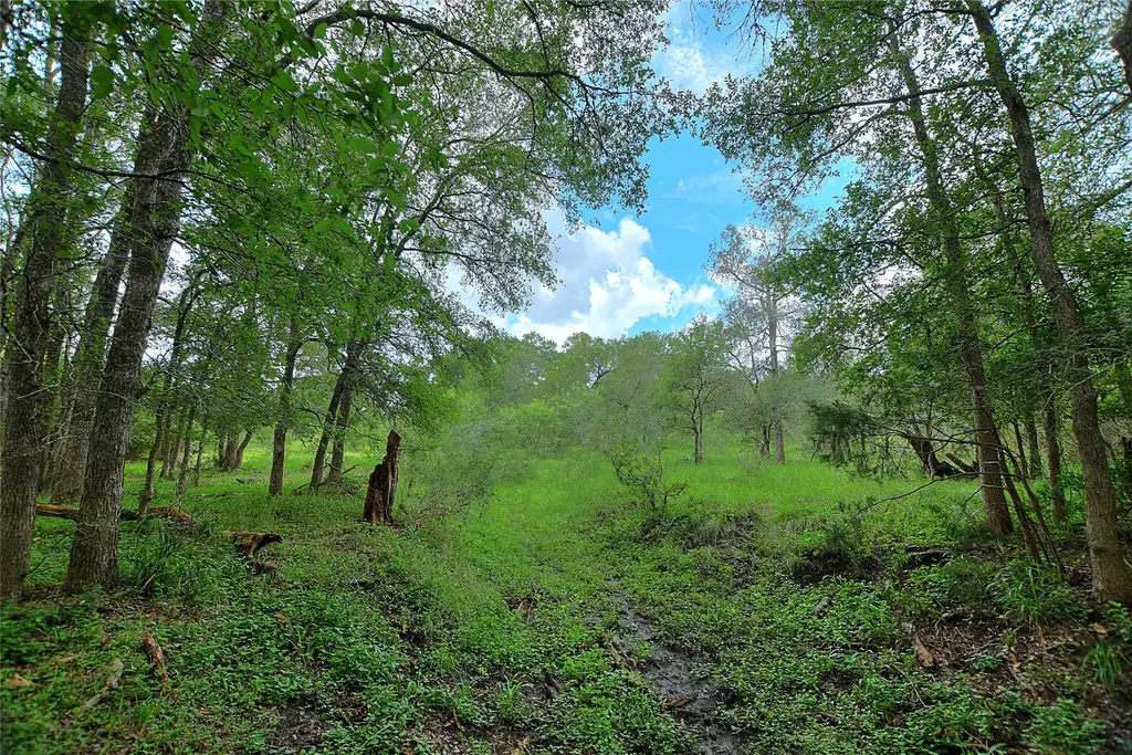 Tbd E Whitworth Ln E, Bastrop