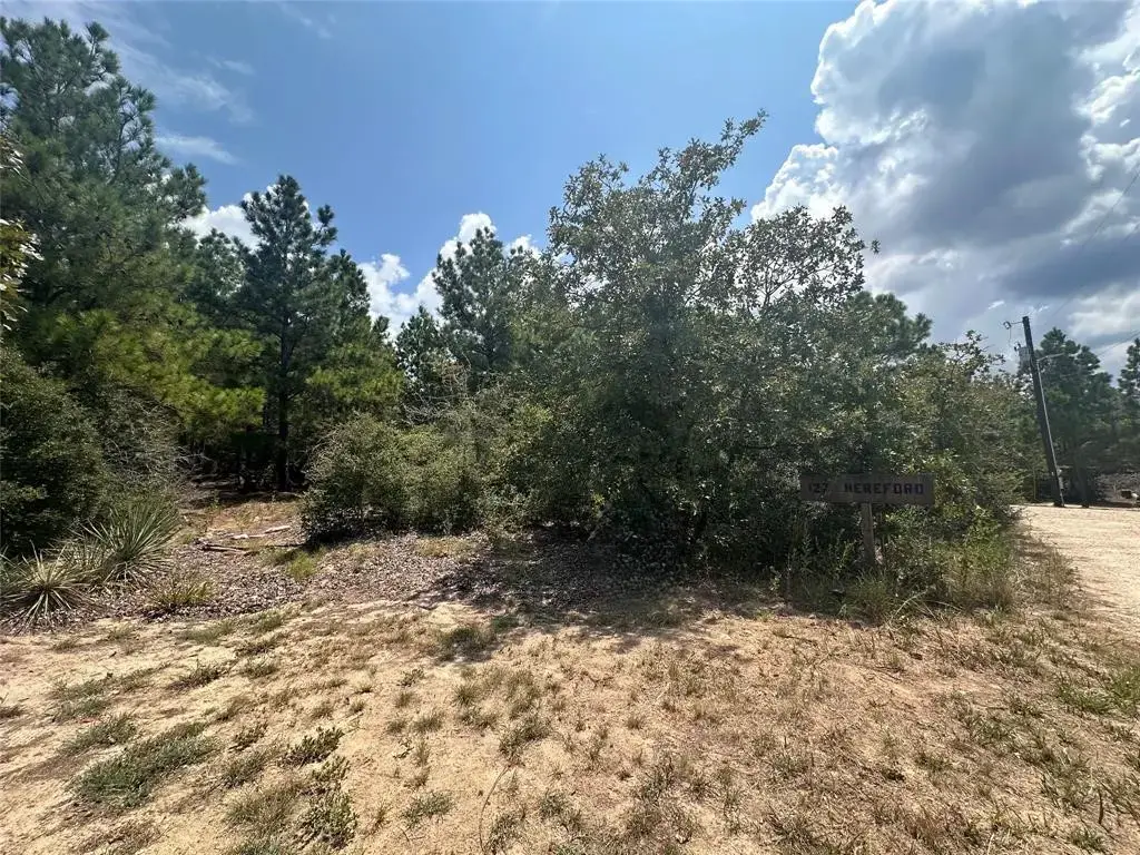 Lot 42 Hereford Ln, Bastrop