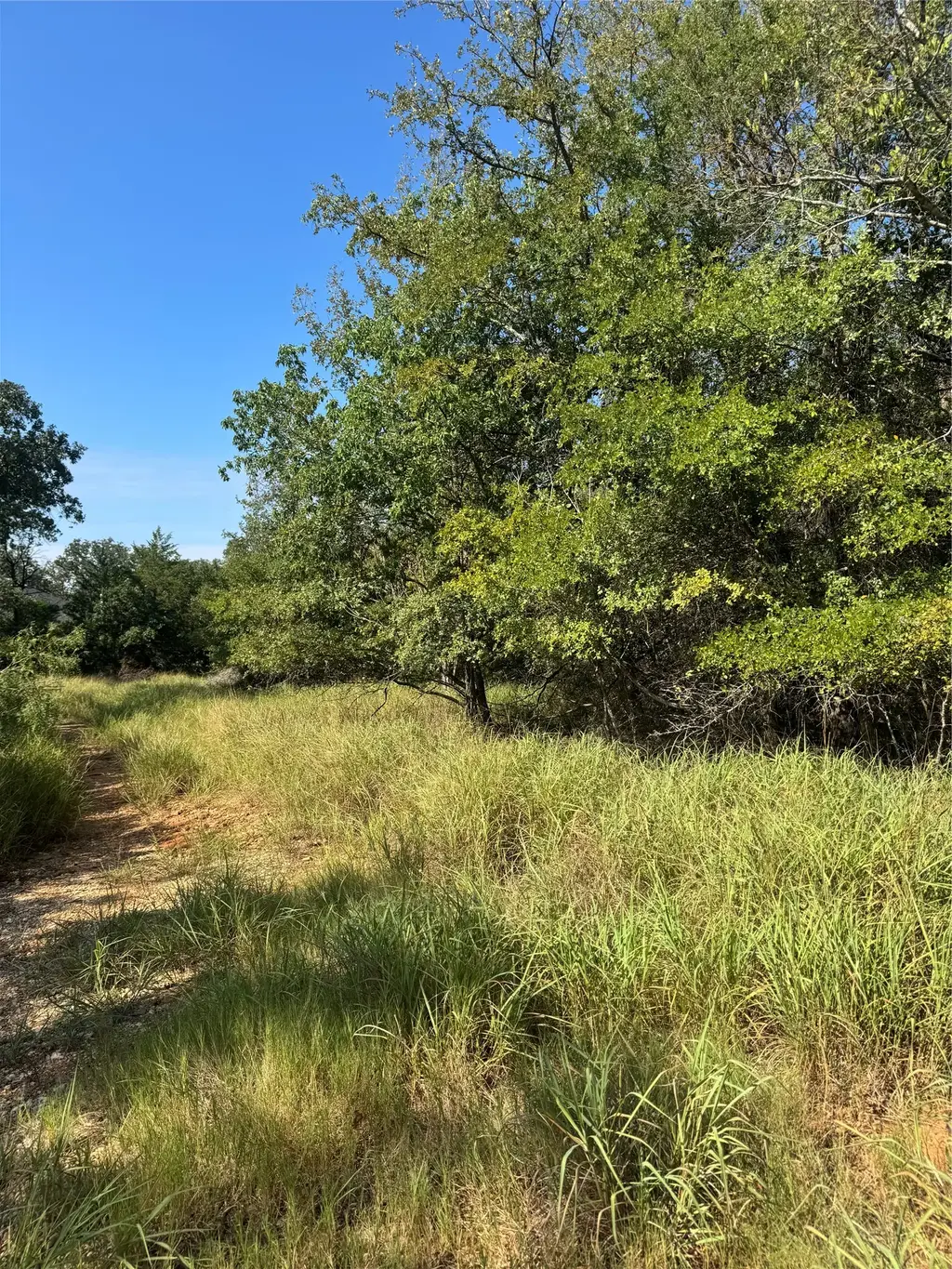 118 Heleakala Dr, Bastrop