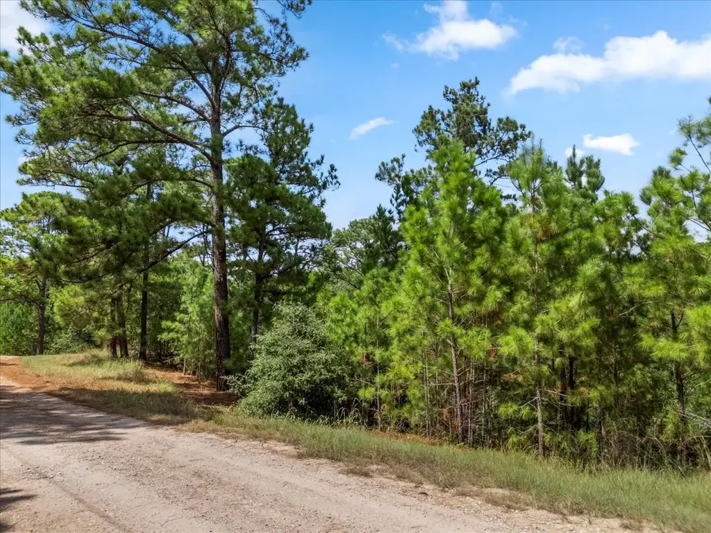 Lot 986 Kailua L Ln, Bastrop