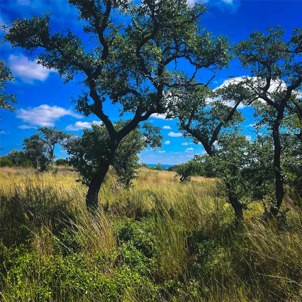 Lot 28 N Scenic Hills Ct, Blanco