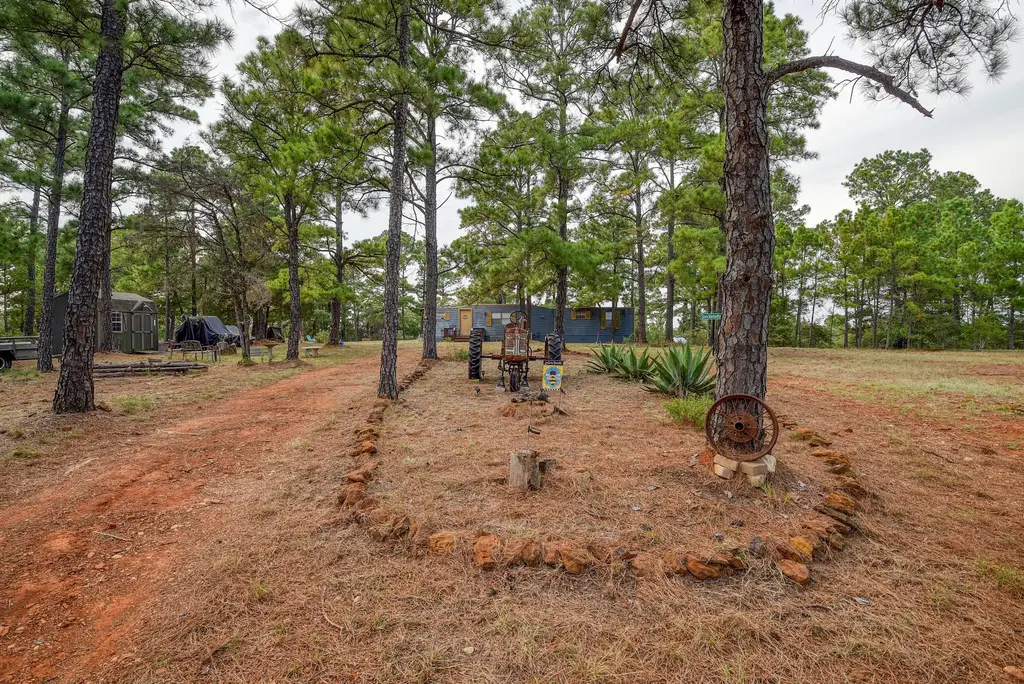 166 Sandy Rd, Rosanky