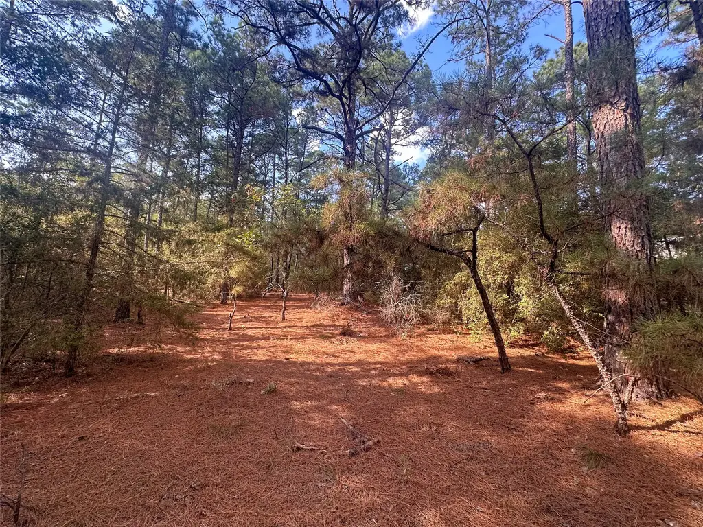 Lot 85 Hill Ridge Dr, Bastrop