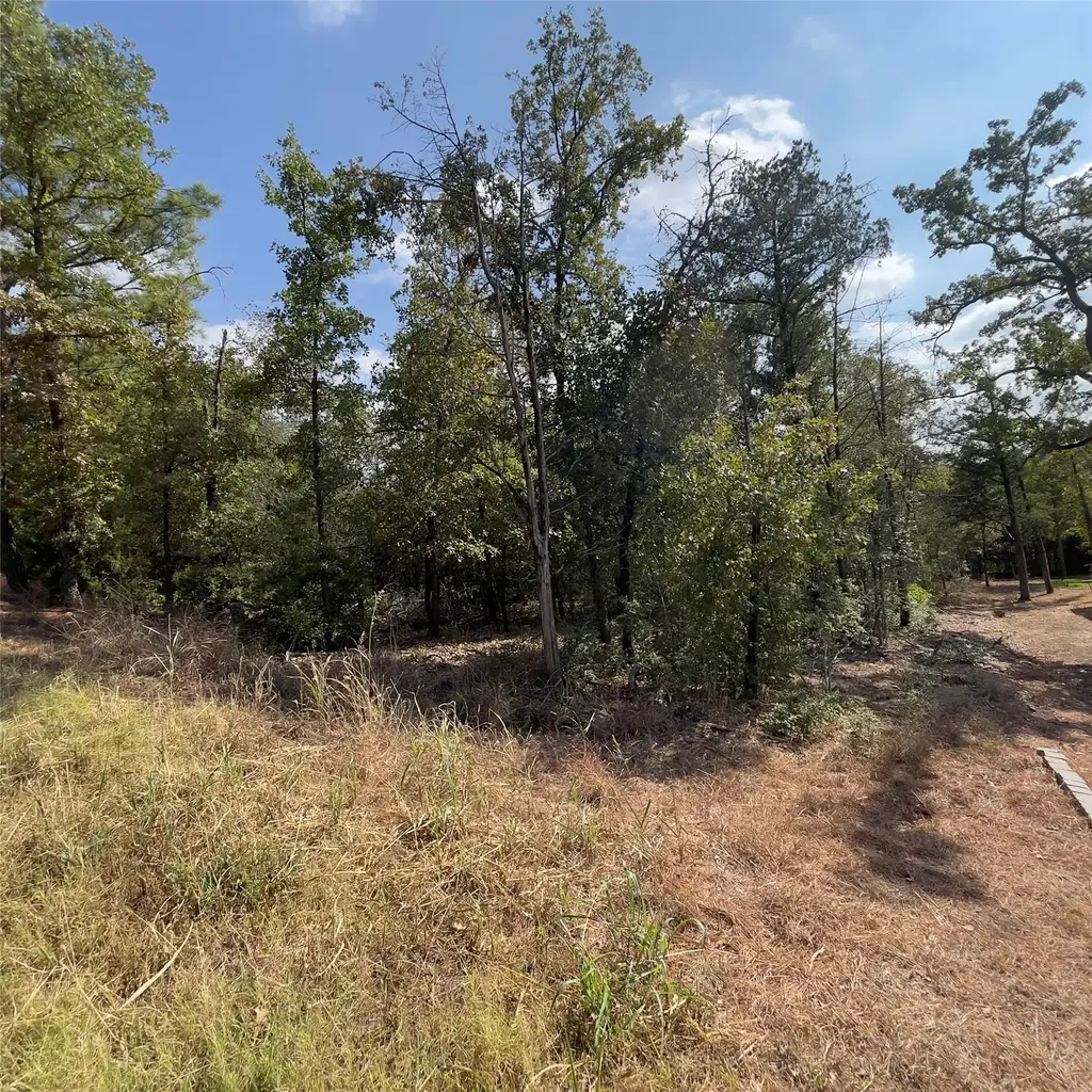 165 Lamaloa Ln, Bastrop