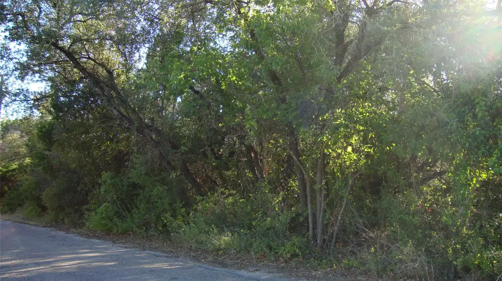 11116 Travis Dr, Jonestown