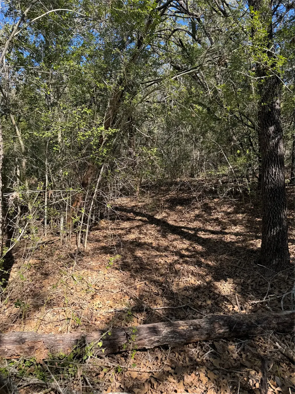 Lot 195 Kaelepulu Dr, Bastrop