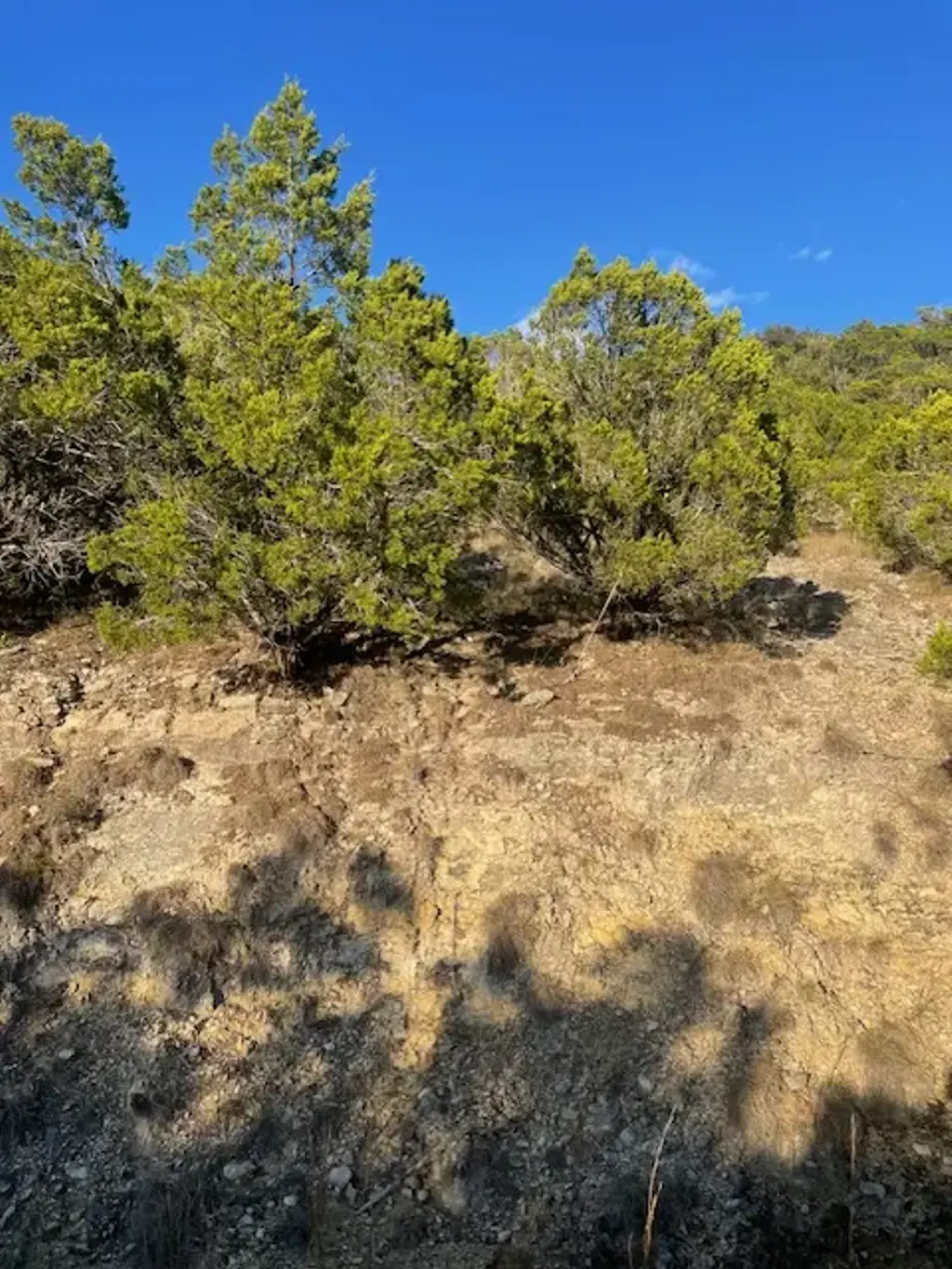 21500 Wyoming Pass, Leander