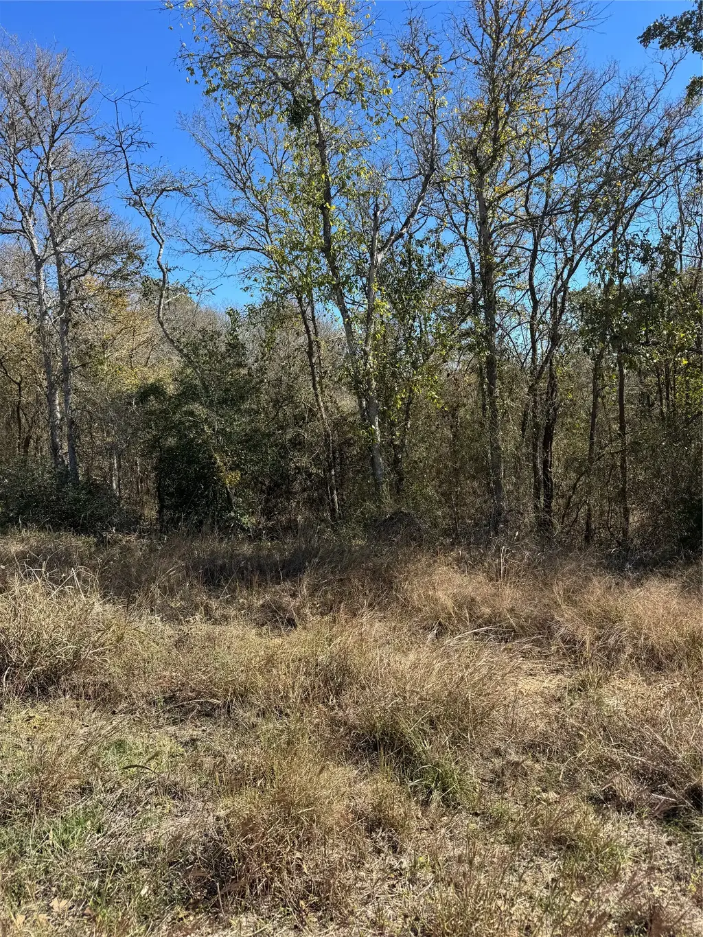 Lot 1013 Diamond Head Dr, Bastrop