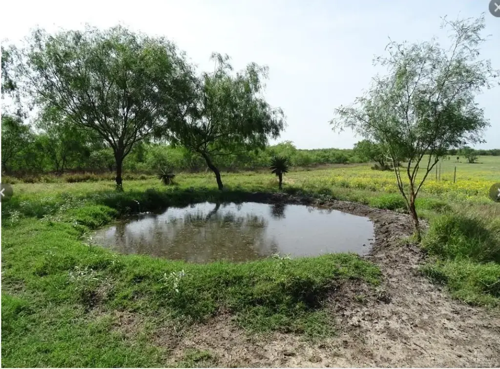 Fm 2294 Fm 2294, San Isidro