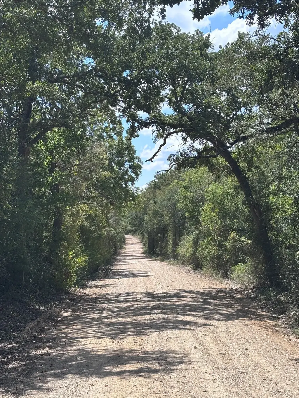 Tbd 10.04 Ac County Road 413, Thorndale