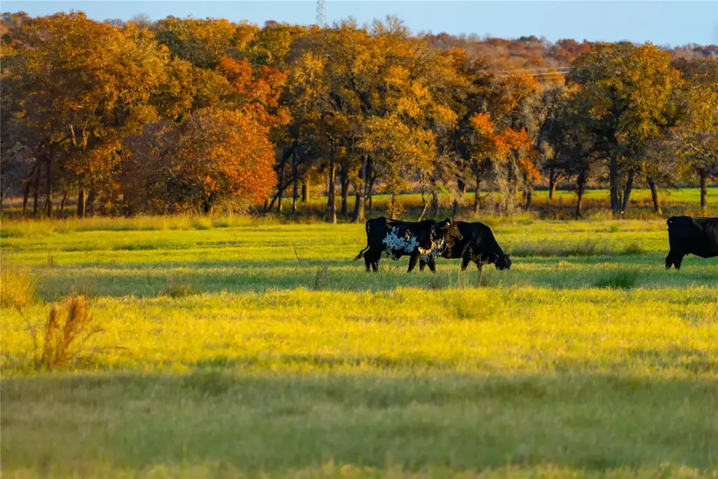 Tbd Tx-123, Seguin