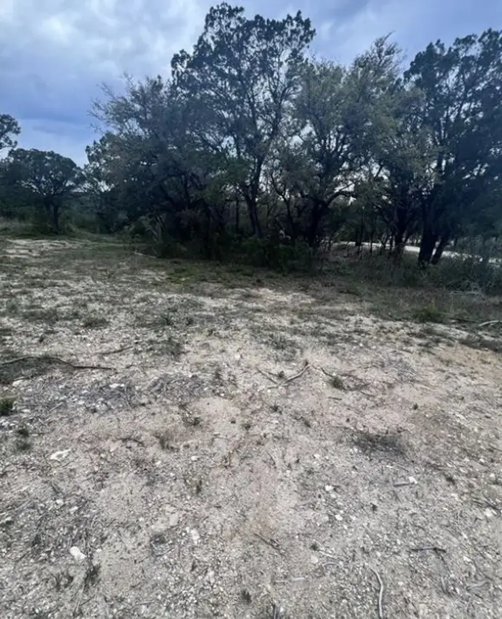 19705 Tyler Trl, Leander