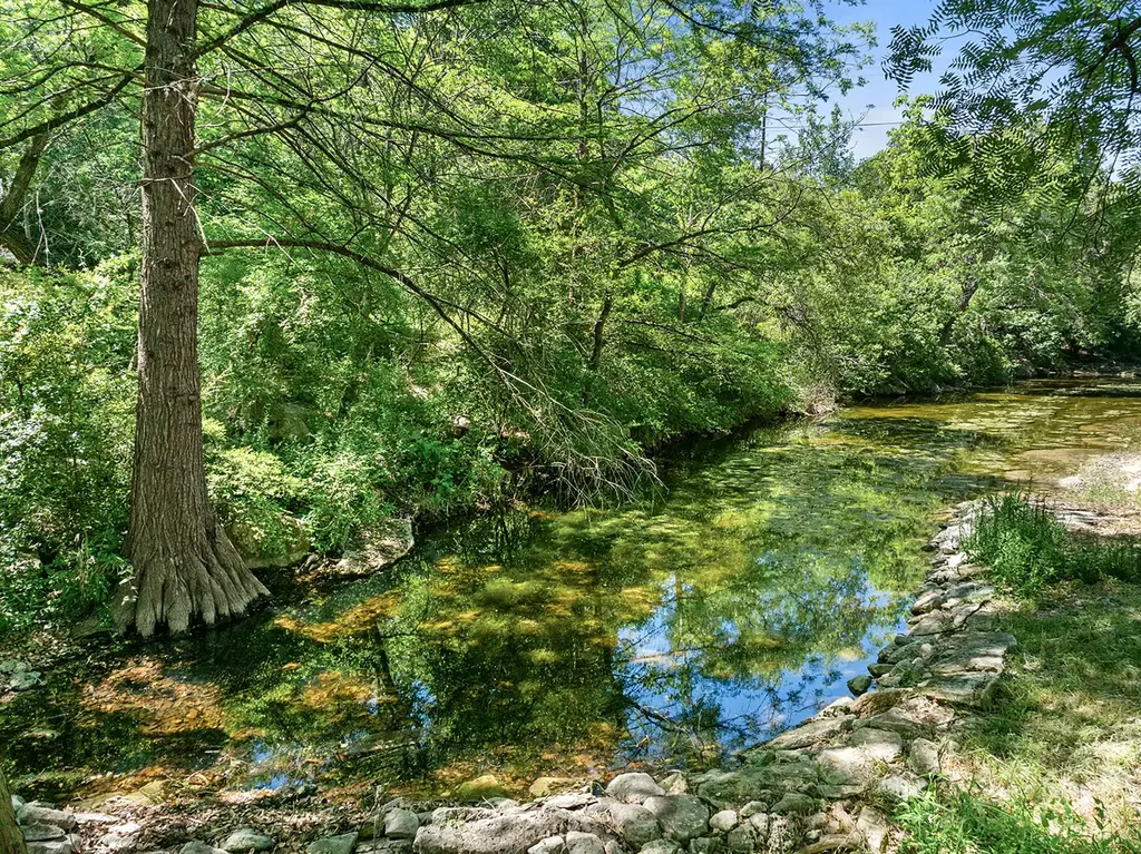 1 Shadybrook Cv, Austin