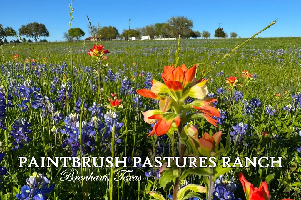 9058 Sam Houston Rd, Brenham