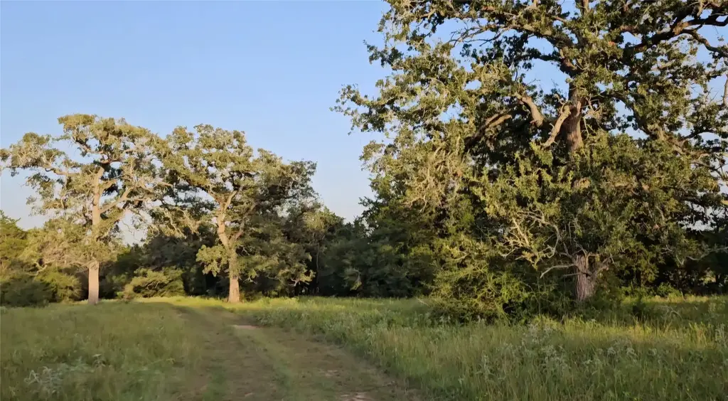 Ranch Land Easley Rd, Smithville