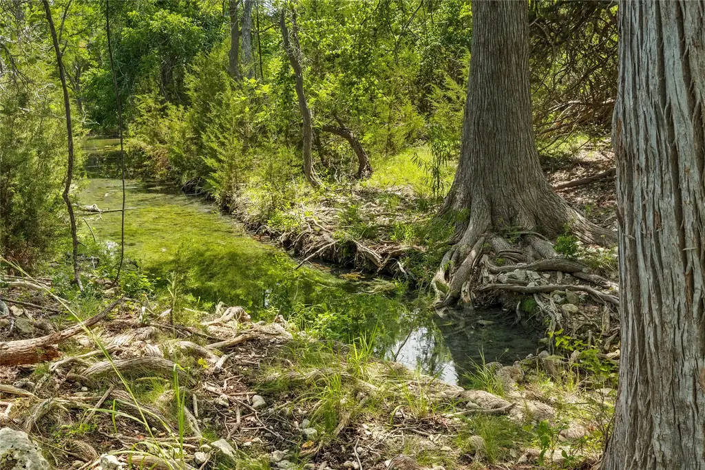 1128 Posey Ranch Rd, Fischer