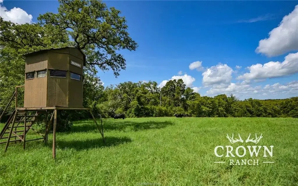 Tbd Fm 908 (+/-1,057 Acres), Caldwell