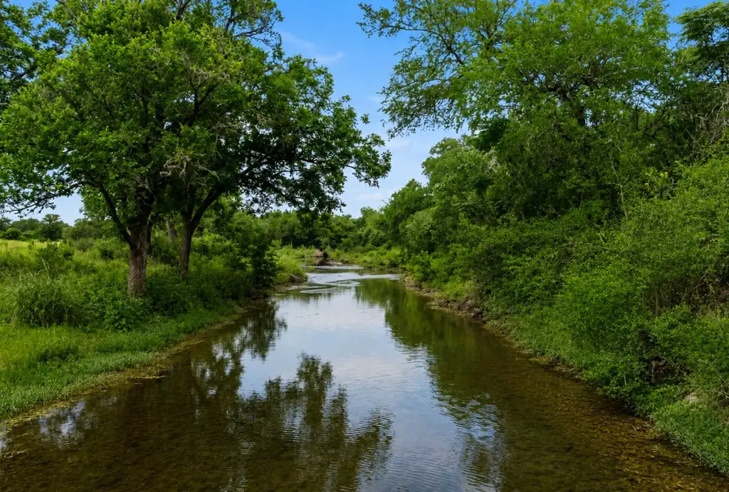 14440 Nutty Brown Rd, Austin