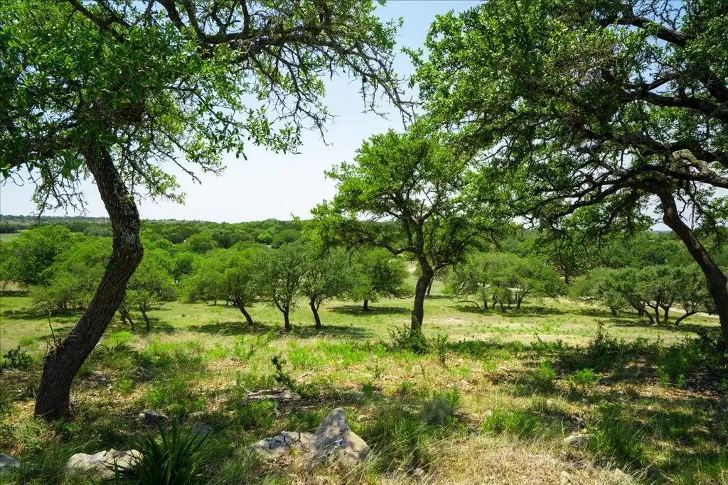 101 Mystic Overlook Dr, Dripping Springs