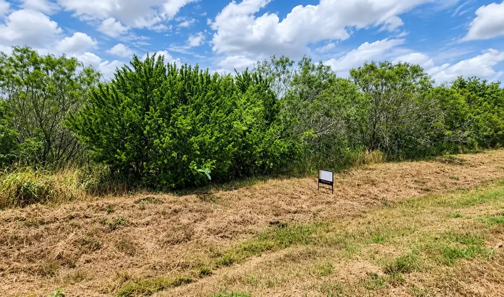 000 Fm 466 St, Cost