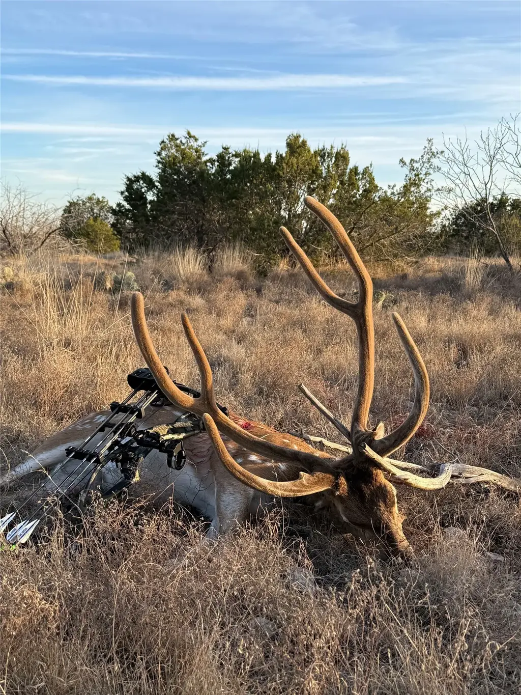 0 Sutton County Rd 406 Rd, Sonora