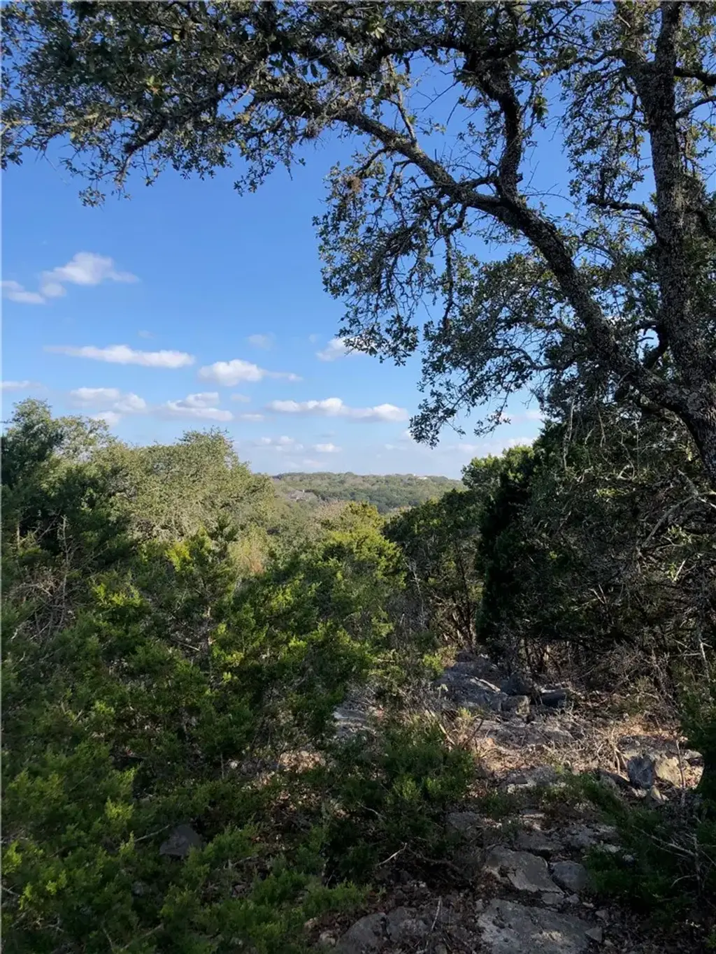 441 Cliffview Cir, Canyon Lake