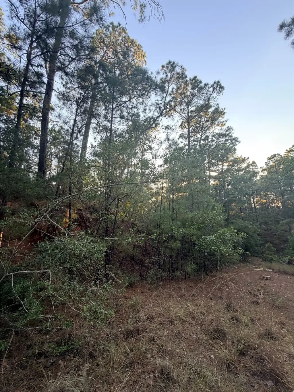 Tbd Okoe Ct, Bastrop