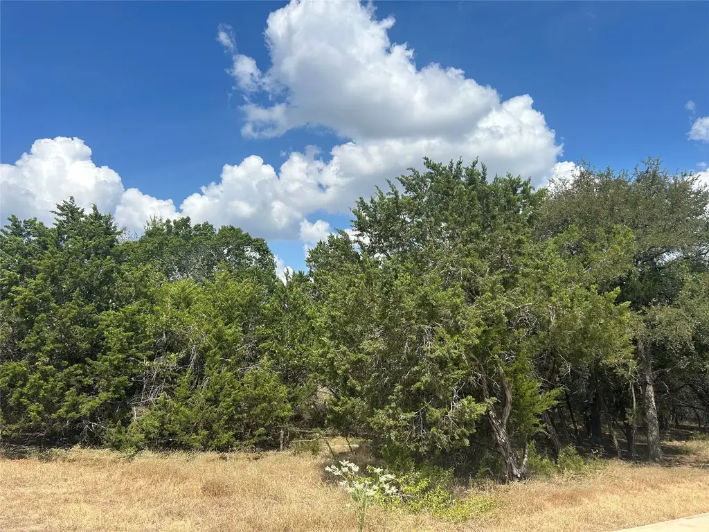 74 Deer Ridge Rd, Wimberley