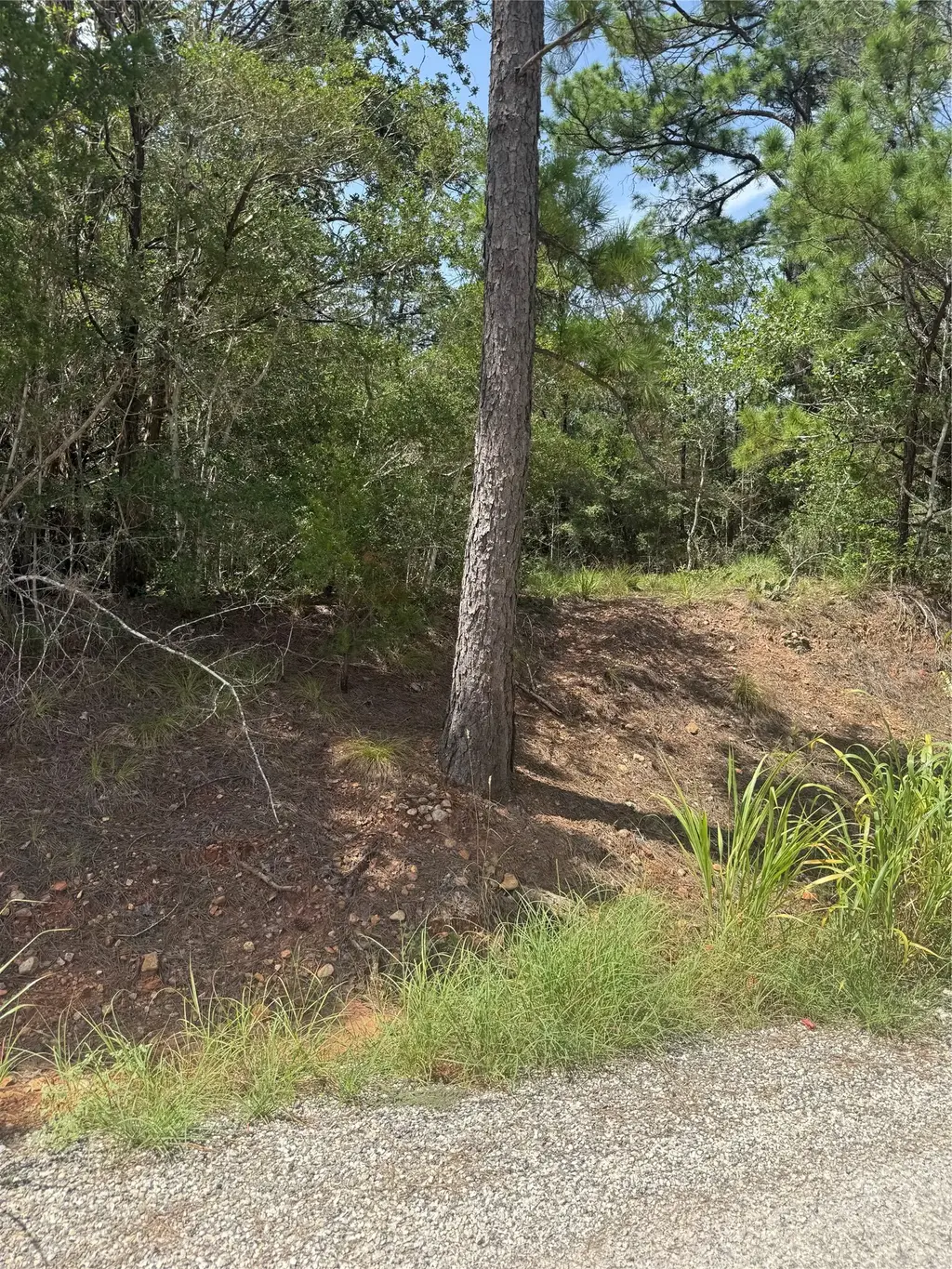 Lot 1252 Tba Hanauma Dr, Bastrop