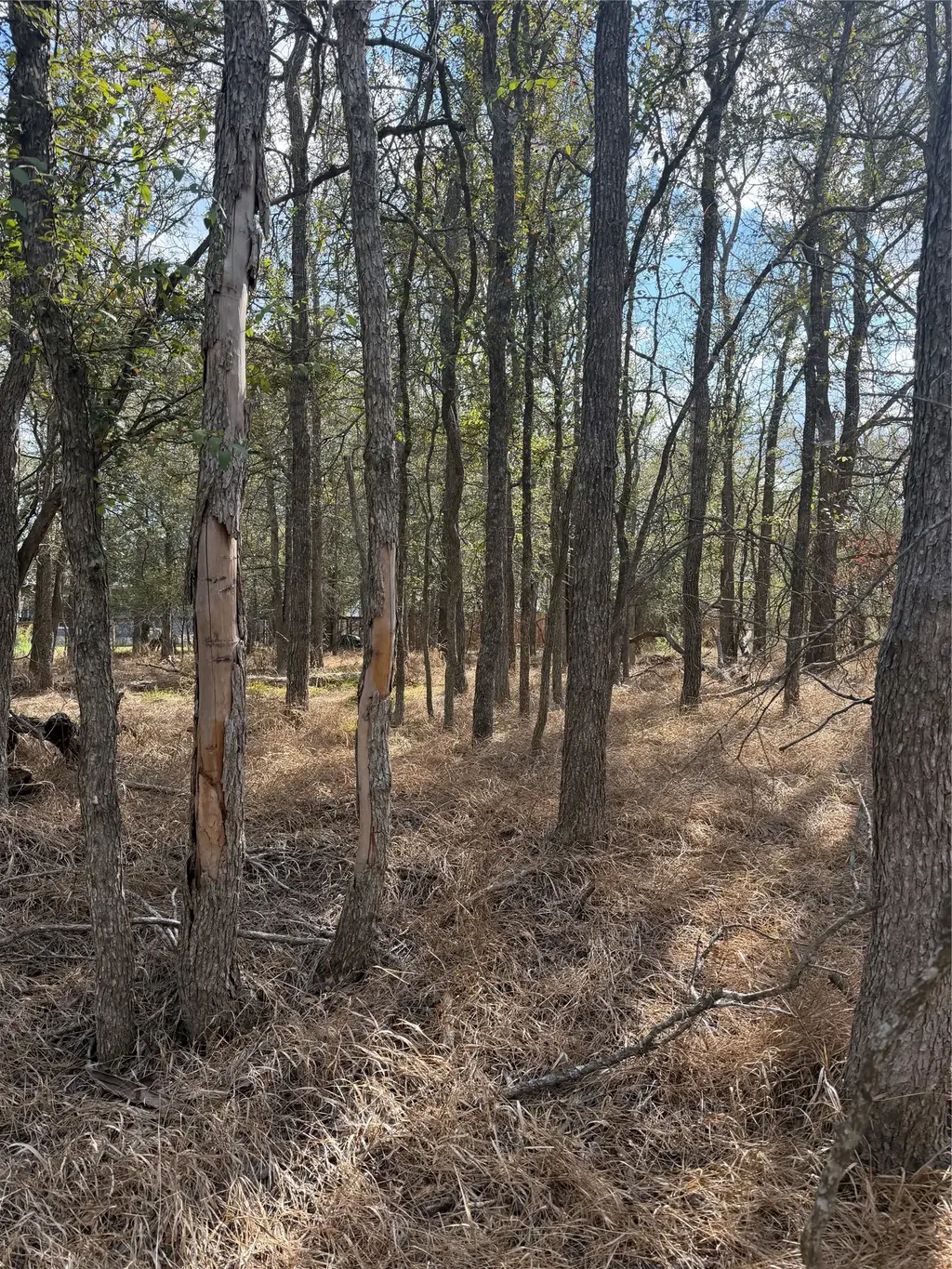 Lot 118 W Keomuku Ln, Bastrop