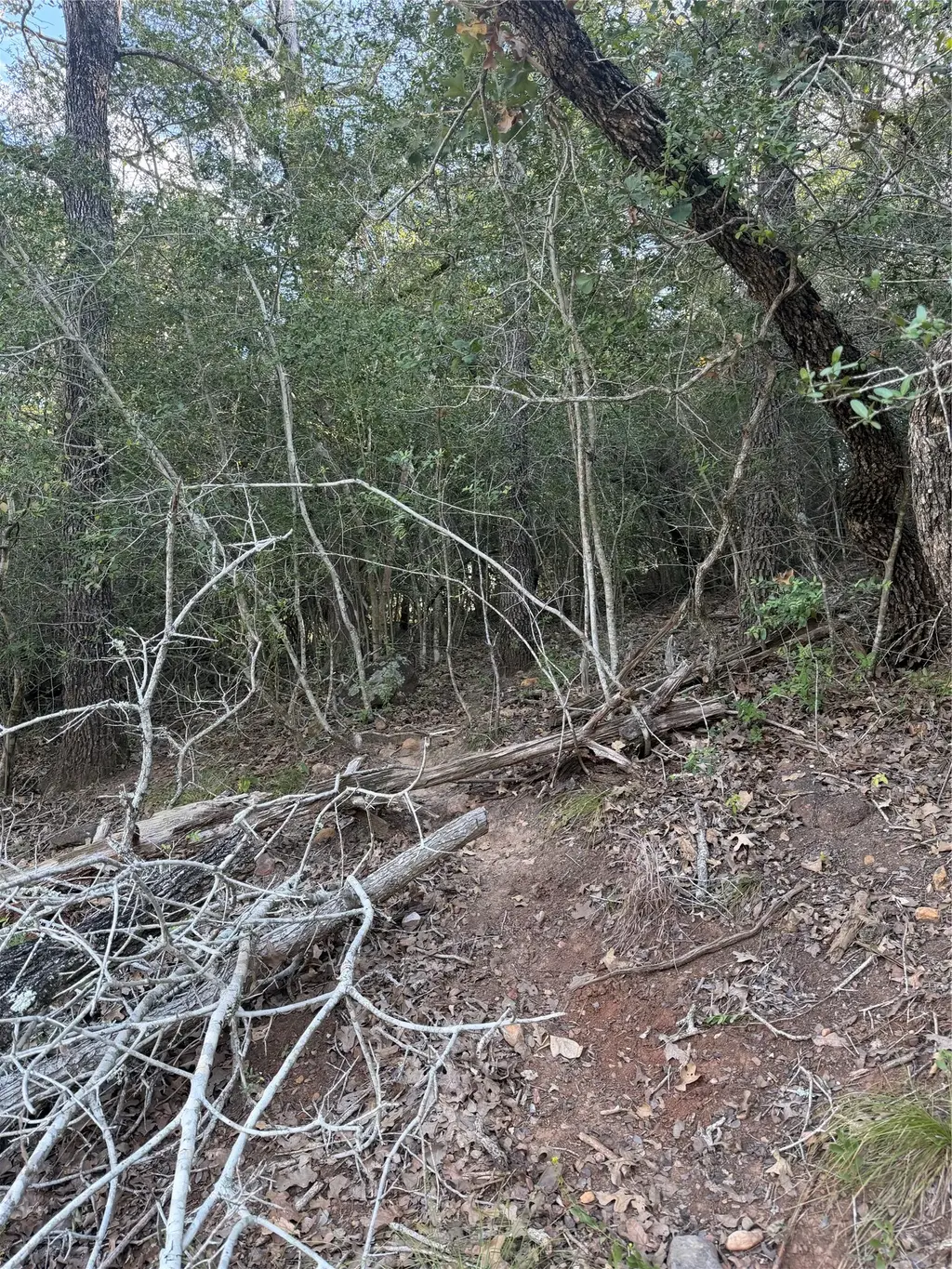 Lot 376 Palikea Cir, Bastrop