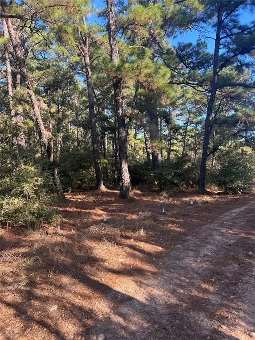 Lot 43 Pine Lodge Dr, Bastrop