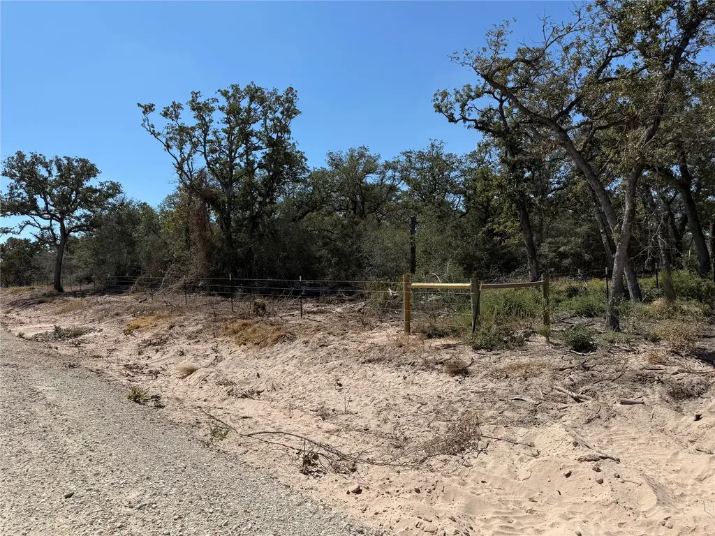 320 Daisy Haven Ln, Seguin