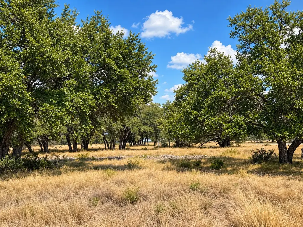 Lot 123 Fallow Drive Dr, Harper