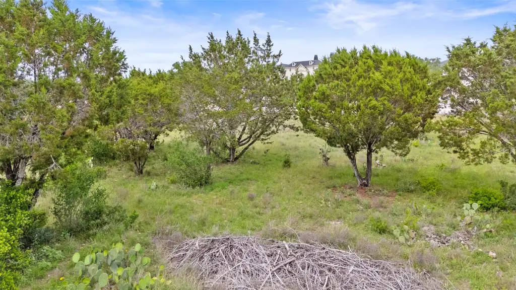 2542 Black Bear Dr, New Braunfels