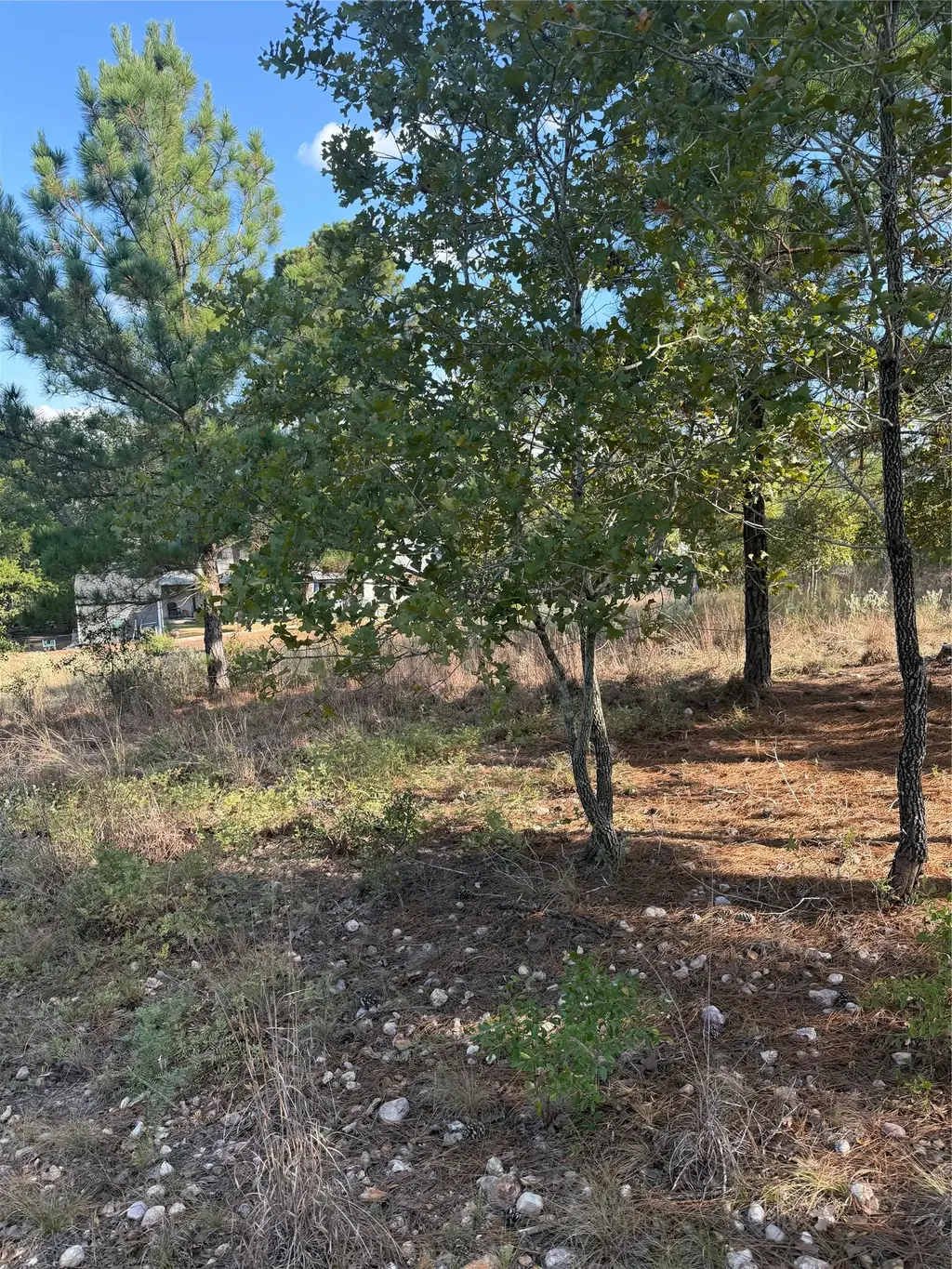 Lot 702 Oahu Ct, Bastrop