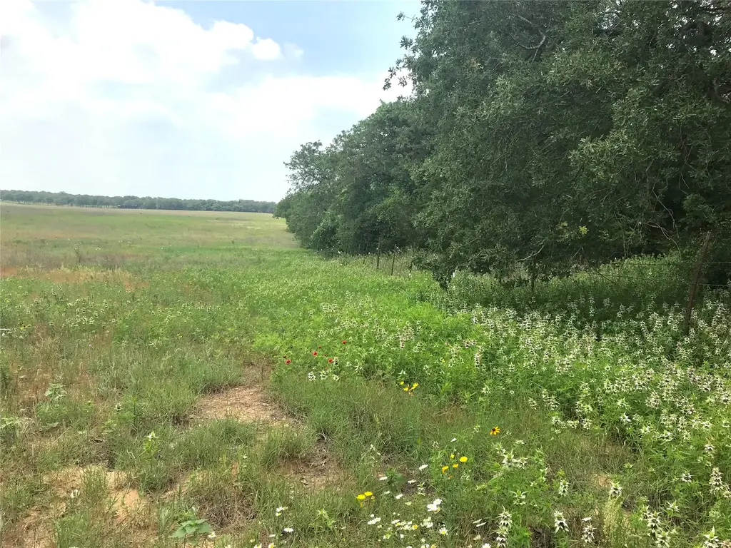 1672 Sayers Rd, Bastrop