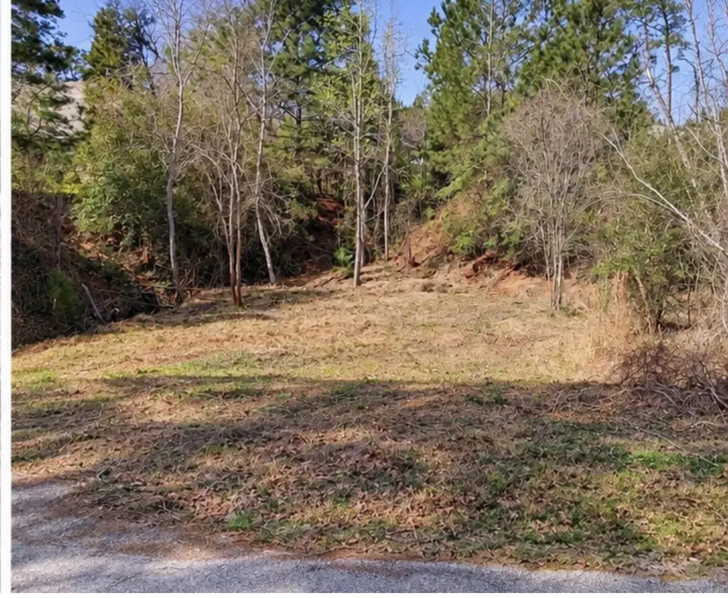 0 N Kanaio Dr, Bastrop