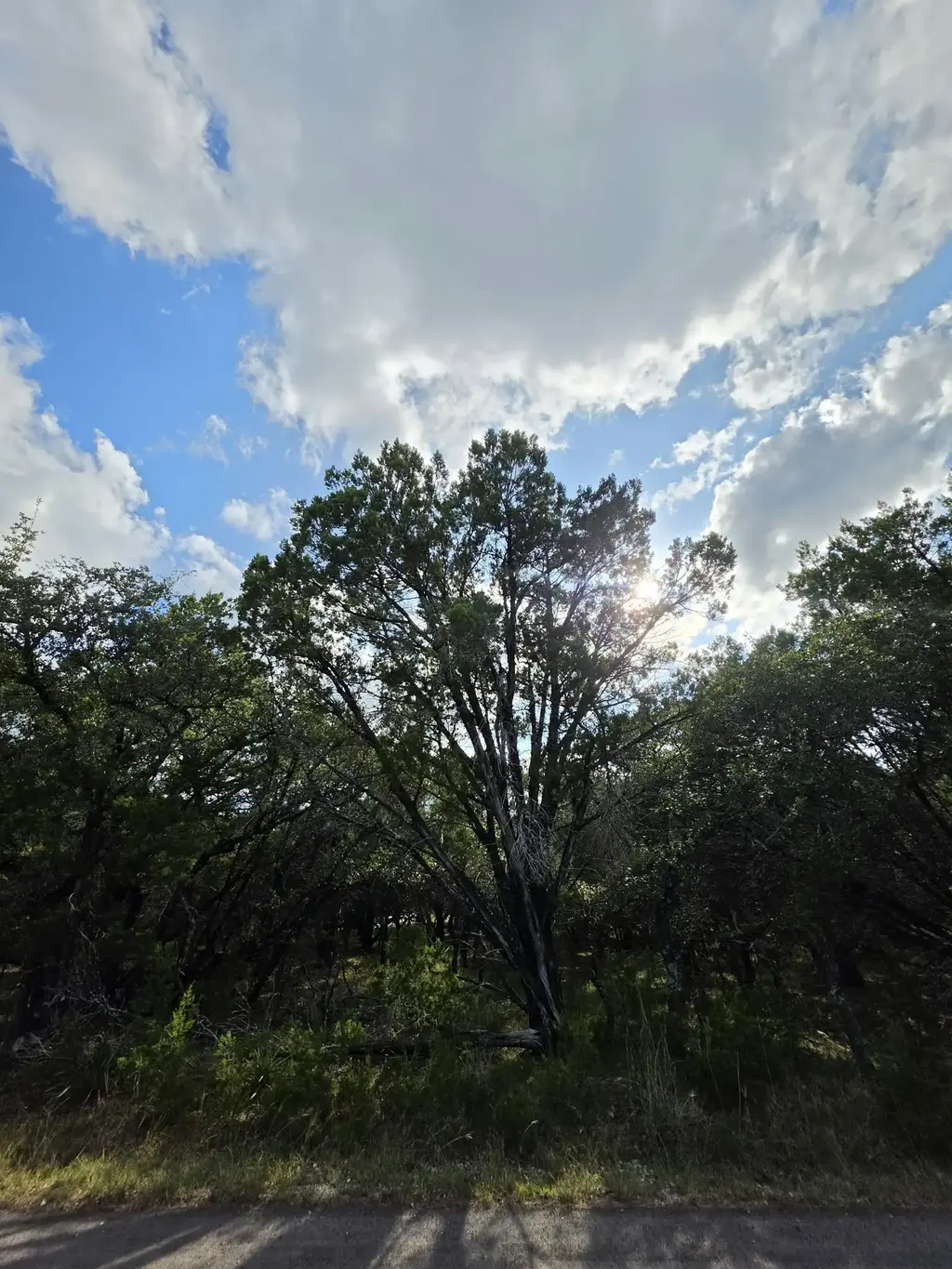7623 Sagebrush Trl, Leander